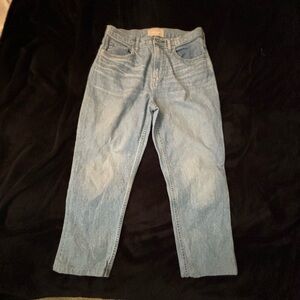 Everlane Blue Straight Jeans Classic Fit